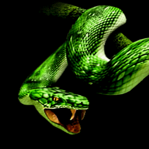 Snake Attack Live Wallpaper - Android Informer. If you love snakes ...