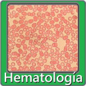 Hematología preguntas de exam