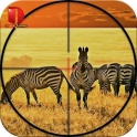 Animal Hunting - Africa