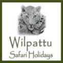 Wildlife Sri Lanka - Wilpattu