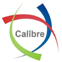 Calibre Websol Pvt Ltd