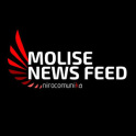 Molise News Feed