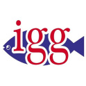 IGG International Buffet