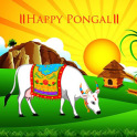 Pongal / Sankranti greetings