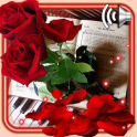 Rose n Music