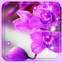 Orchid Free live wallpaper