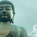 The Buddha and his Dhamma