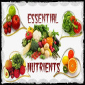 Essential Nutrients for Health