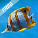 Marine Fish Aquarium Free