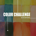 Color Challenge Pro