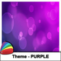 Theme - Purple