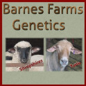 Barnes Farms Genetics