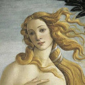 Botticelli Wallpapers