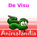 Animalandia Visu