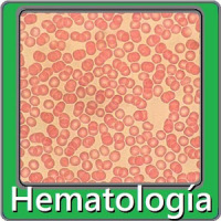 Hematología preguntas de exam