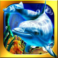 Dolphin Casino - Fortune Pearl