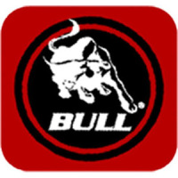 Bull BBQ Recipes