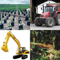 Oil Palm Resources Calculator