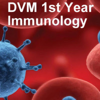 DVM 1st Yr Quiz - Immunology