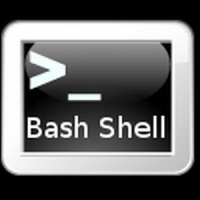 BASH Programming