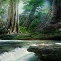 Real River Flow Live Wallpaper