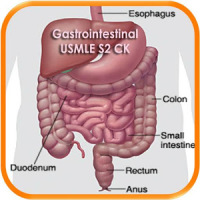Gastrointestinal USMLE Stp2 CK