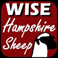 Wise Hampshire Sheep