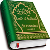 Zia e Hadees (Vol 3)