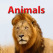 Animals for Kids
Education