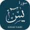 Surah Yaseen (يس‎) - Surat Yasin in Arabic - Quran