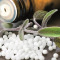 Homeopathy Guide