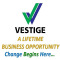 Vestige Business Presentation (Hindi)