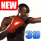 Boxing Fighting 3D