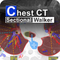 Chest CT Sectional Walker