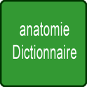 anatomie Dictionnaire