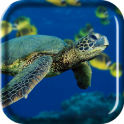 Turtle Sea Live Wallpaper