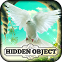 Hidden Object Game