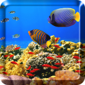 Ozean-Fisch-Live Wallpaper HD