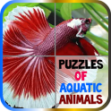 Puzzles of Aquatic Animals