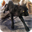 3D Cat Simulator Game For Free