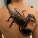 Design Tattoos On Backs