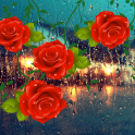 Roses Love Drops