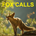 Predator Calls for Fox Hunting