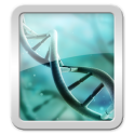 Wallpapers DNA