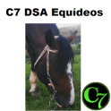 C7 DSA Equideos