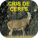 Cris De Cerfs