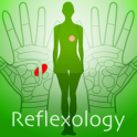 Hand Chart / for Reflexology
