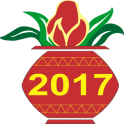 Indian Festivals Calendar 2017