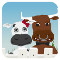 Cows And Bulls Trivia