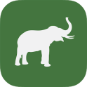 Int'l Elephant Foundation: IEF
